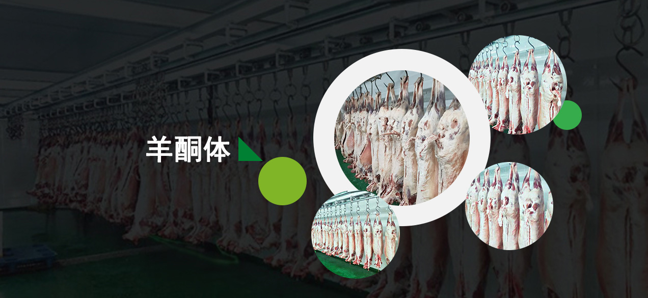 羊酮體(tǐ)