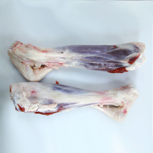 後小(xiǎo)腿